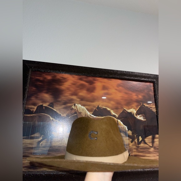 𝐂𝐇𝐀𝐑𝐋𝐈𝐄 𝟏 HAT - Picture 2 of 5